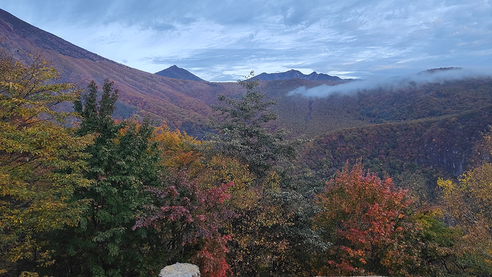 向かう道中のいろは坂の山々はやや紅葉が始まっており綺麗です。