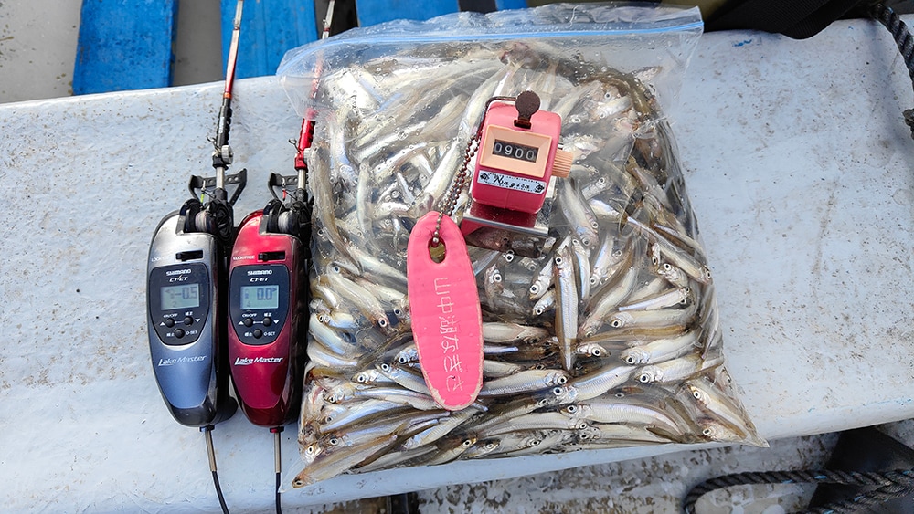 今年の精進湖は魚影が濃く、どこにでも魚がたくさんいる印象です。