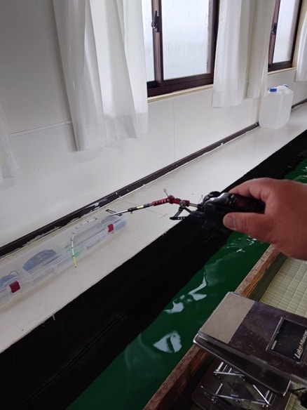 ファーストポイントは、開始１時間ほどで、１１匹釣ったところで場所移動になりました。