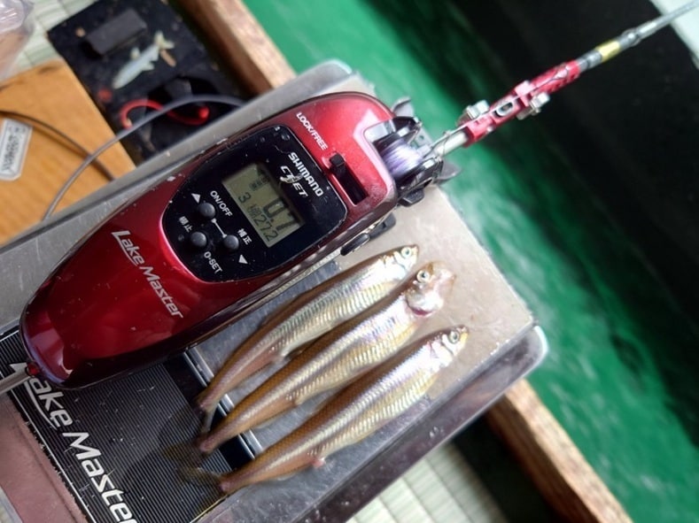 今度は、大幅なエリア変更で・・・・3か所目の場所へ。