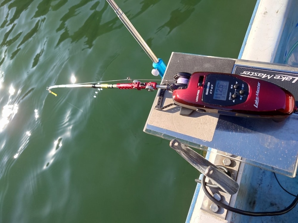 エサは、赤虫、紅サシ、チーズサシをランダムに付けて、ビックサシやブドウ虫の半切りも、喰わせエサとして、付けます。