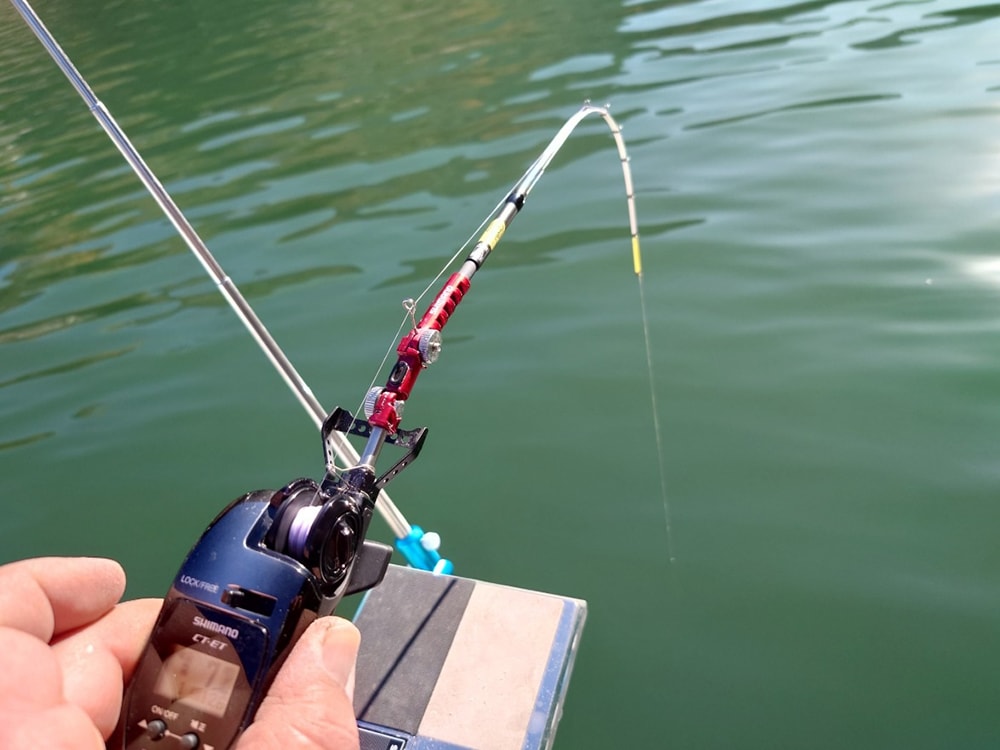 ワカサギの他に、モロコやハス、ニゴイのアタリやヒットも多く、本命と同じくらいの数が釣れてきます。