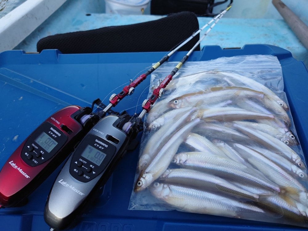 釣果は21匹ですが、デカサギはやっぱりボリュームはあります。