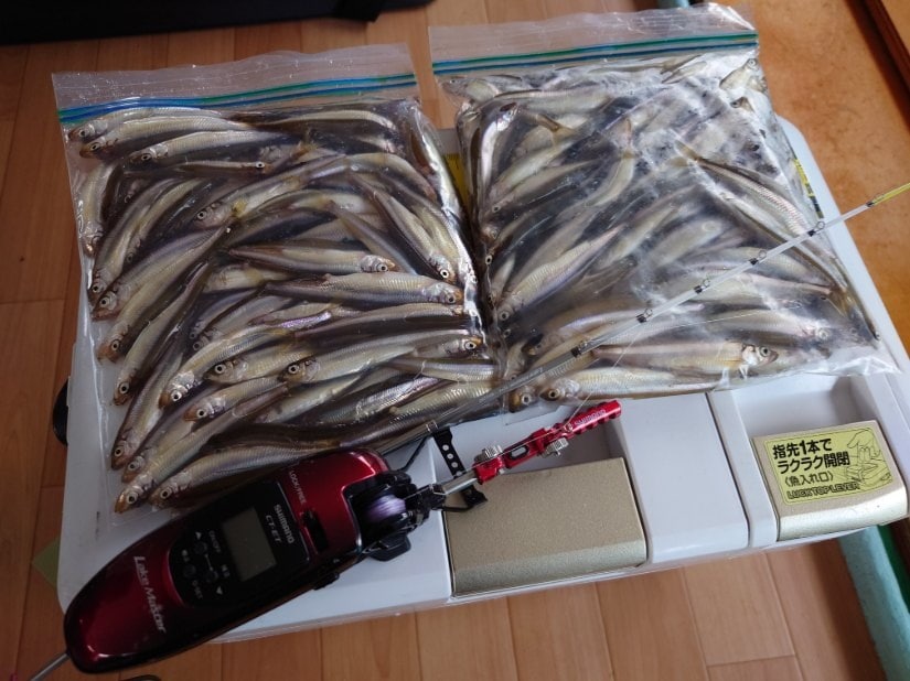 日中からパターンをつかんで、終了までコツコツと釣れ続き、後半、追い上げて161匹と、前回より、だいぶ釣果アップできました。