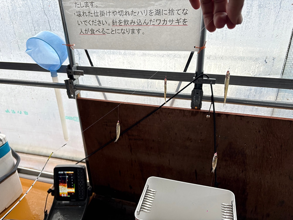 手返し重視なので、巻き上げ速度は私には速めの3速ですが、穂先のクッション性能でバラしもほとんどありません。