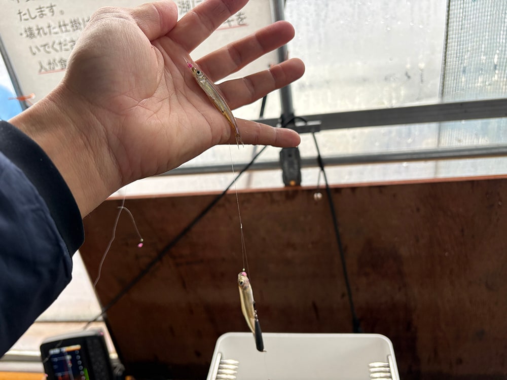 釣り込むうちに気づいたことは、魚は餌にバイトしてきているものの、穂先はほとんど動かず居食いしていること。