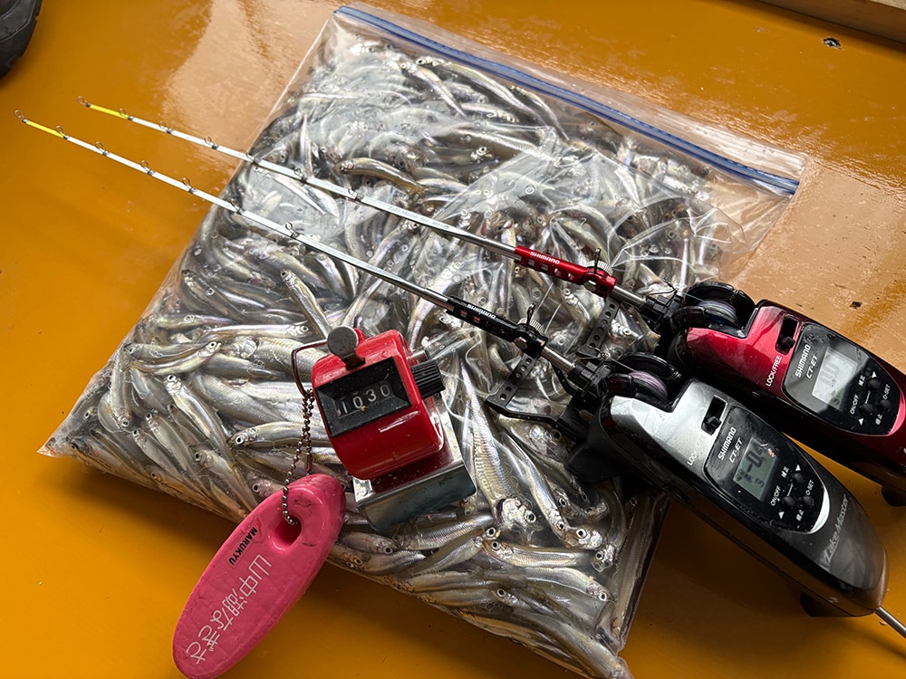 河口湖はこれからがトップシーズン！？