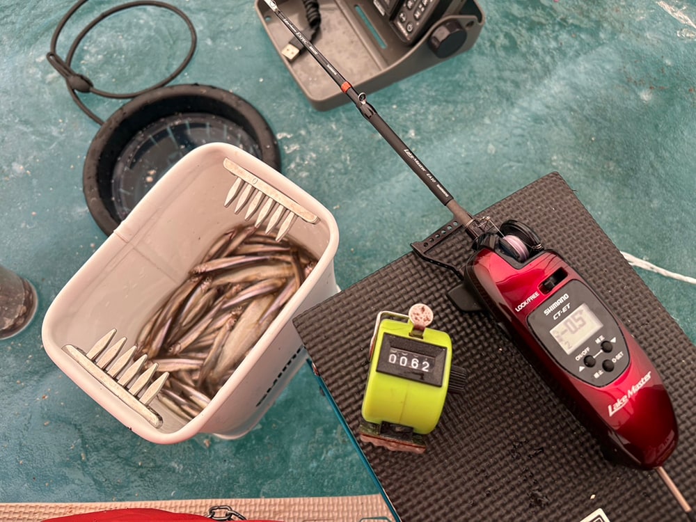 最終釣果は62匹。釣れた1匹はおらず、全てが釣った1匹という内容は、満足度が高く相当面白かったです。