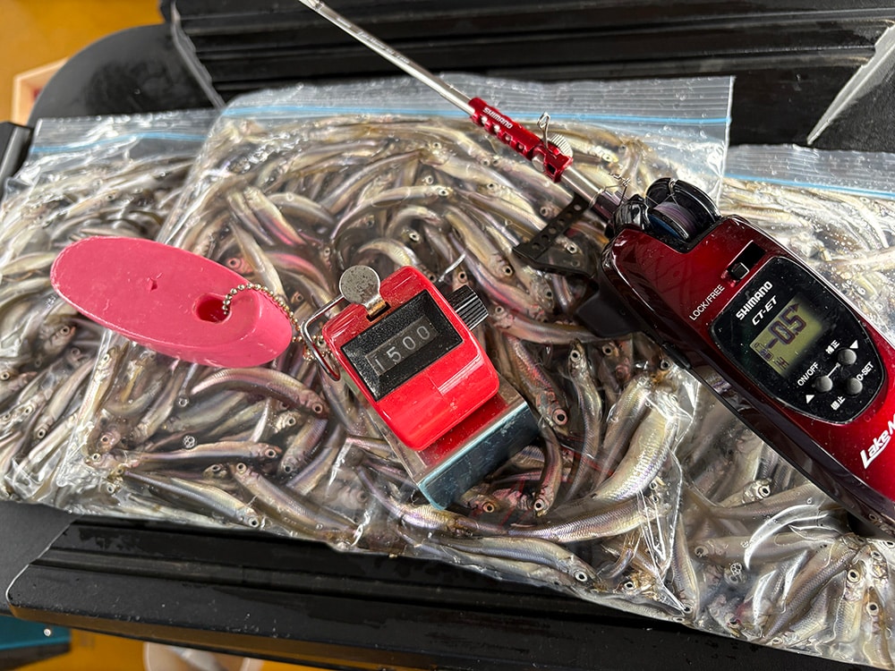 お昼ご飯もゆっくり食べて、適度に休憩を挟みながらでしたが最終釣果は1500匹でした。