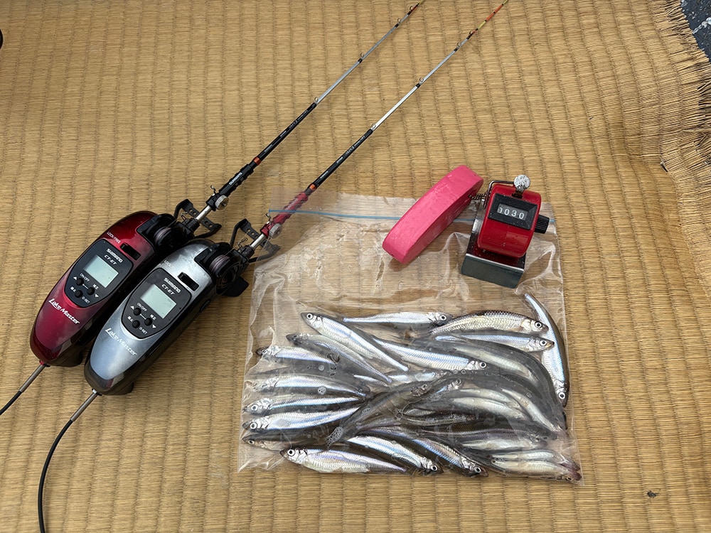 最終釣果は30匹。