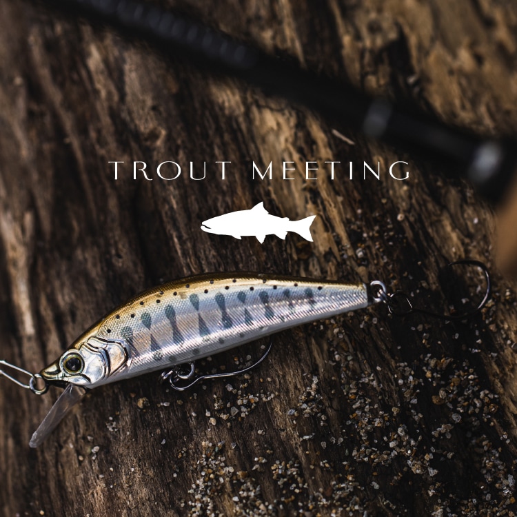 TROUT MEETING