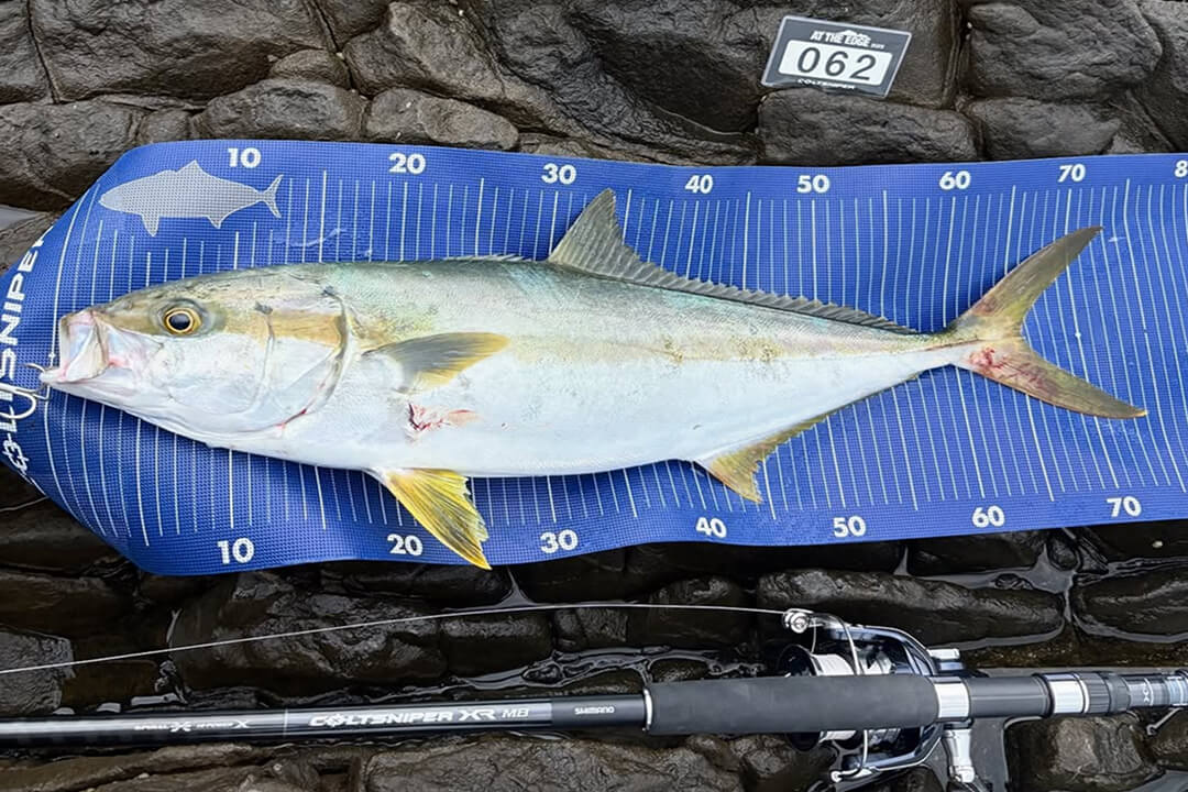 rockshore_daisukiman