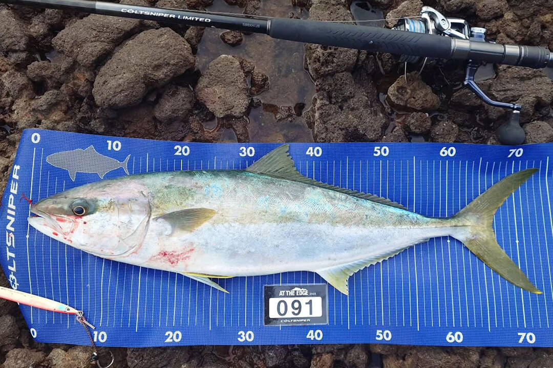 takahashi_bakuchokai