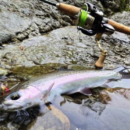 ry.fishing.jp