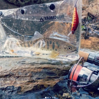shumatsuangler_k.s
