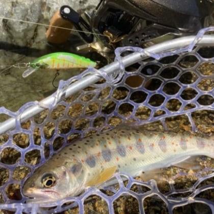 captive_of_fishing