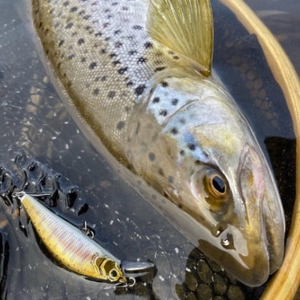 angler_tkg