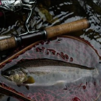 angler.kurokai