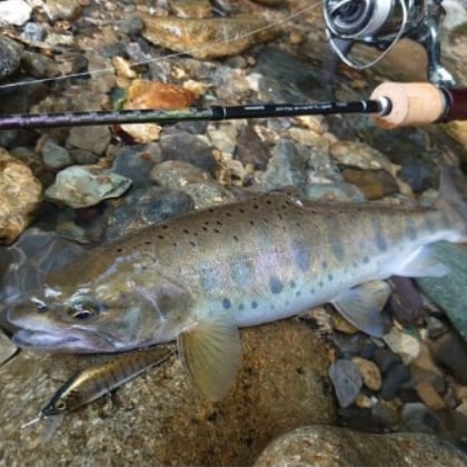 fishing_okappari