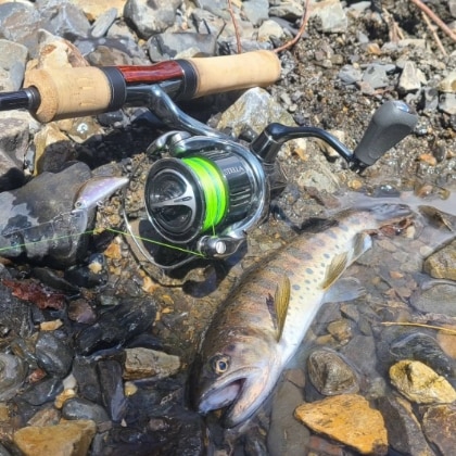 20angler20