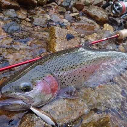 fishing_okappari