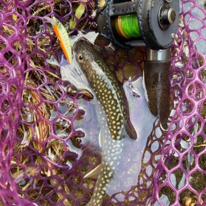 flyangler.masa