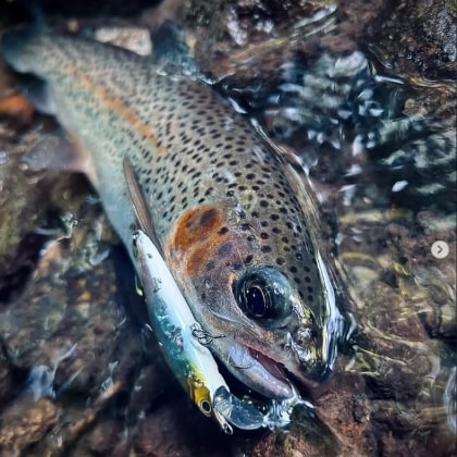 mountain_stream.bfs