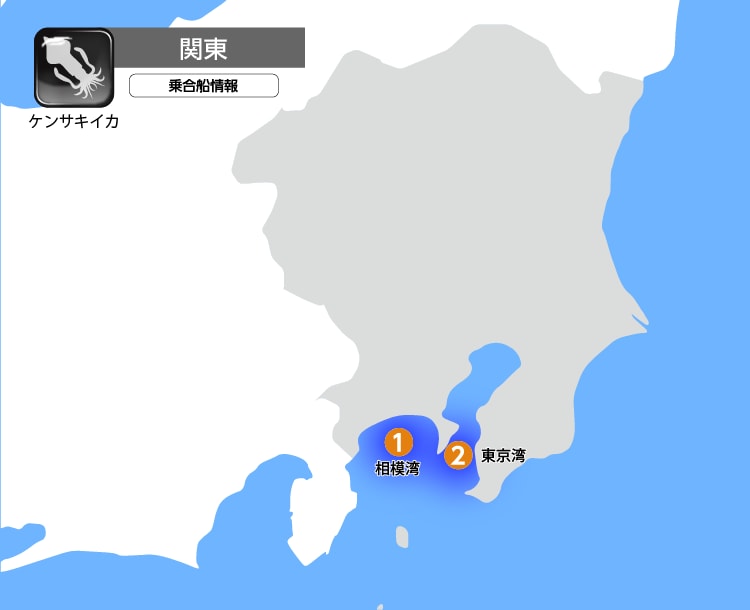 ケンサキイカ|関東