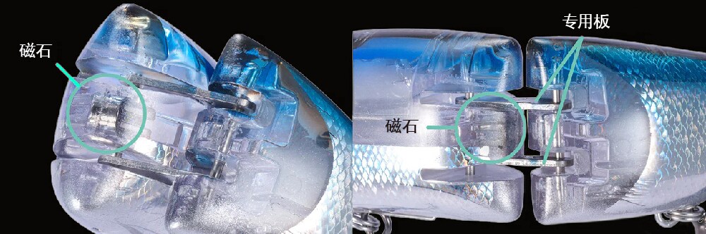 磁力与半固定结构实现自然泳姿