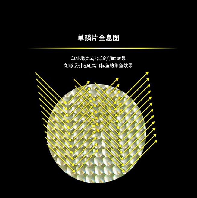 传统镜面全息技术虽也光彩美丽，但却缺乏真实感