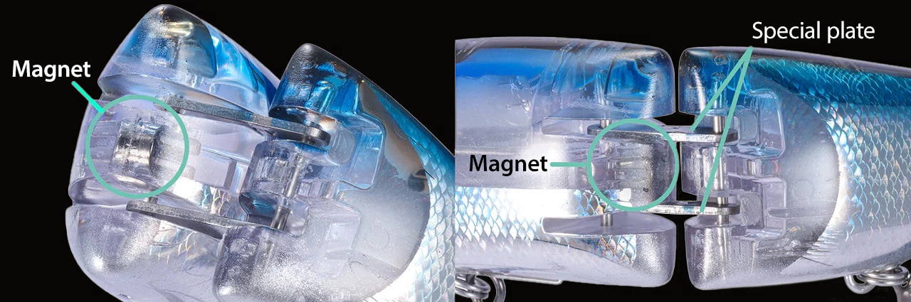 Magnet Power and Semi-Fixation: Achieving a Natural Swimming Action