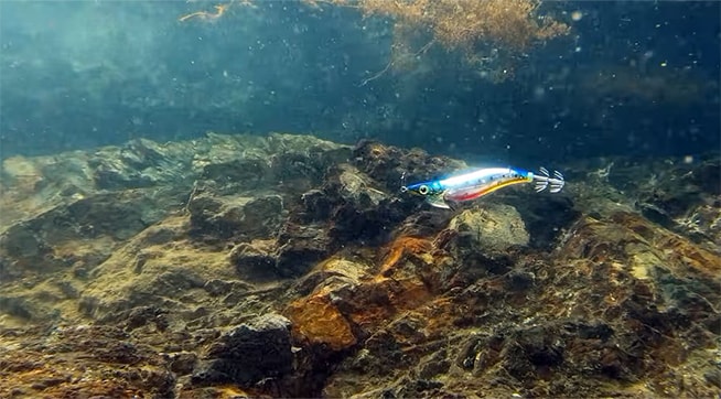 A powerful lure that irresistibly draws in fish, even when completely still.