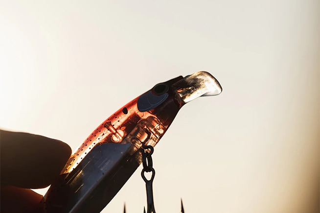 A lure that makes every angler's dream come alive!