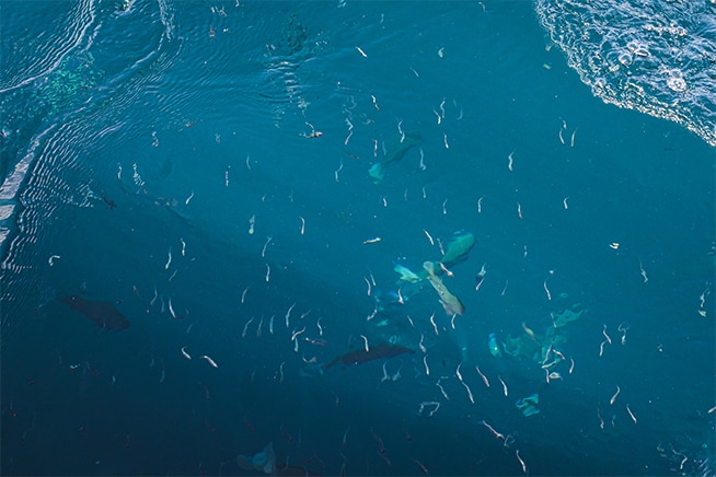 The challenge of the grip not transmitting underwater sensations